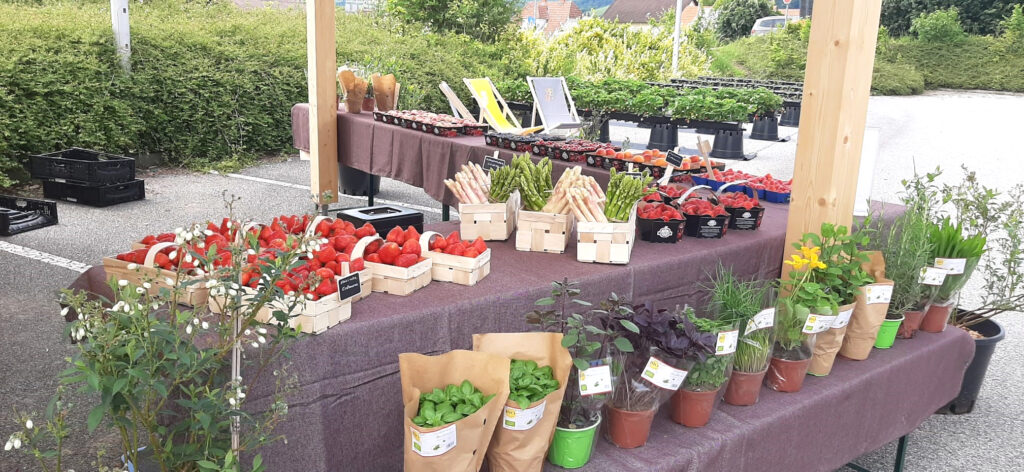 2-fotor-20240603133938