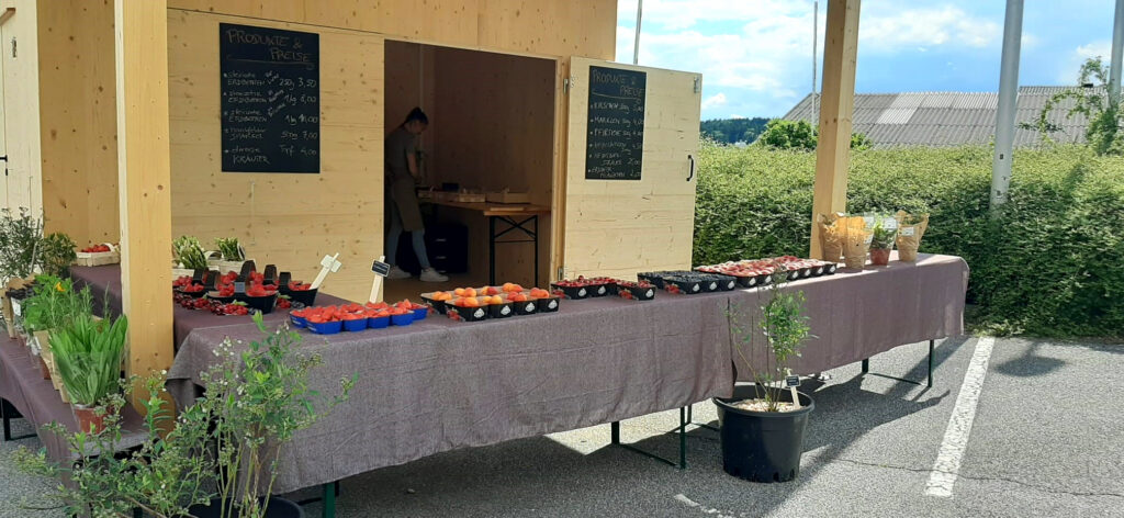 7-fotor-20240603133619