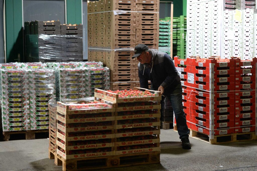 Service-Market2