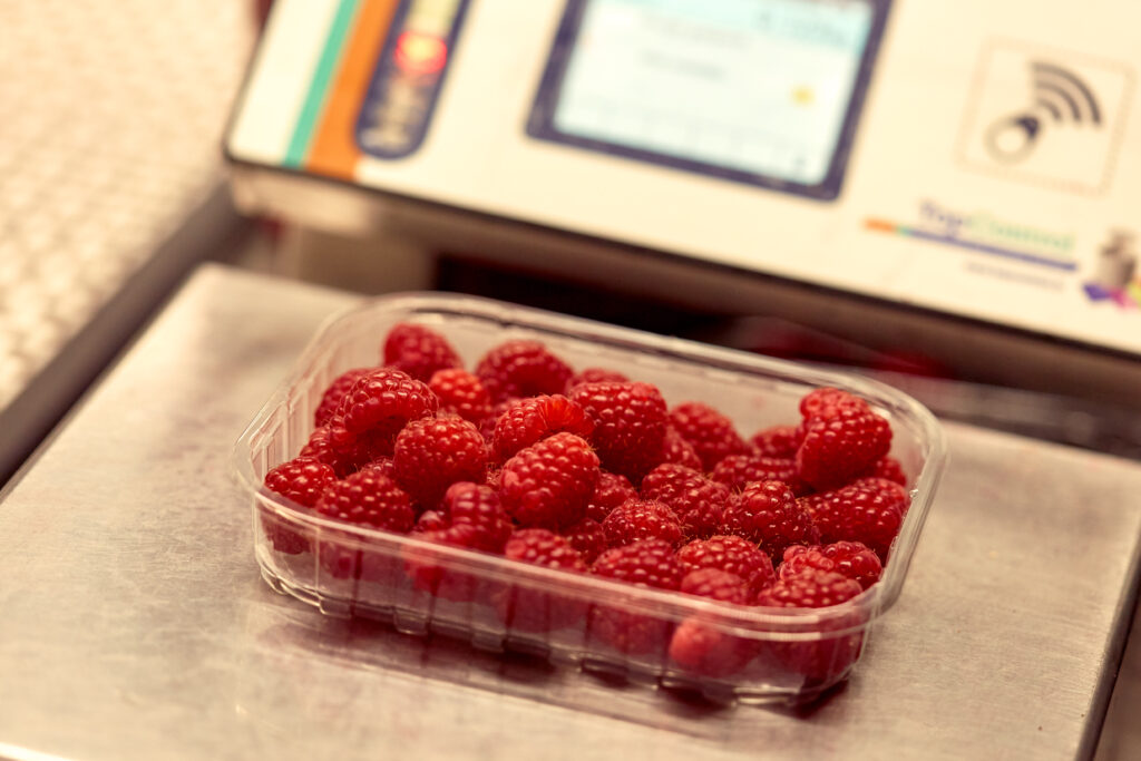 fischer_obsthofstelzer_060918-11