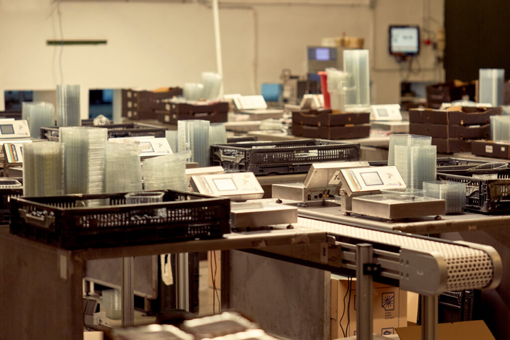 fischer_obsthofstelzer_060918-12