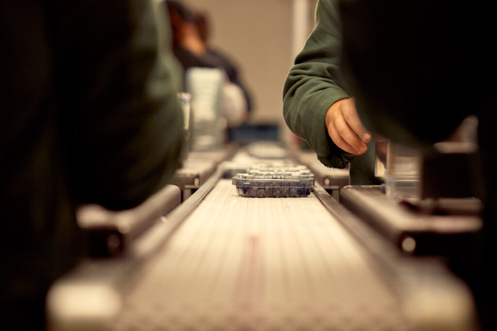 fischer_obsthofstelzer_060918-15