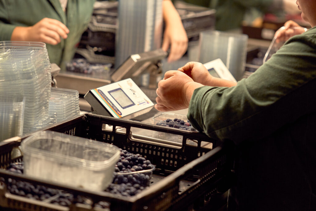 fischer_obsthofstelzer_060918-16