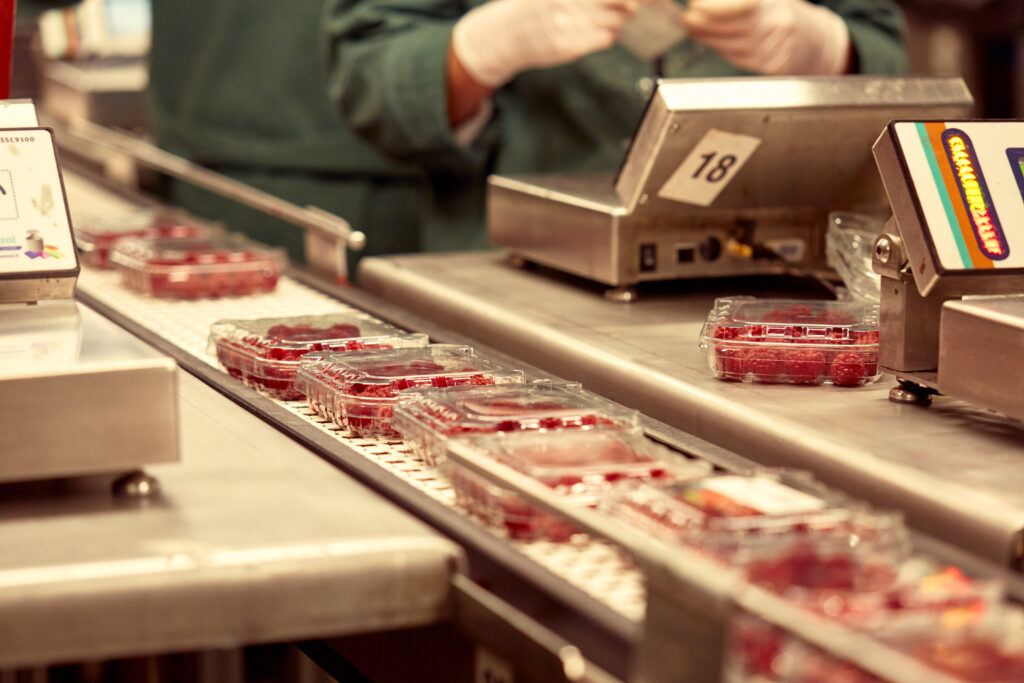 fischer_obsthofstelzer_060918-17