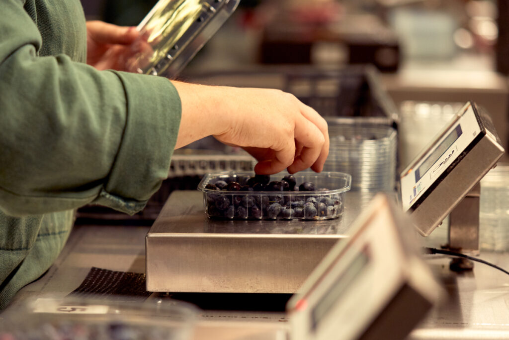 fischer_obsthofstelzer_060918-2