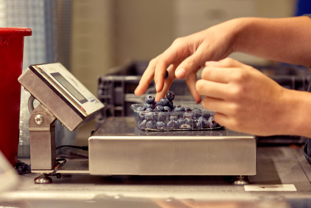 fischer_obsthofstelzer_060918-20