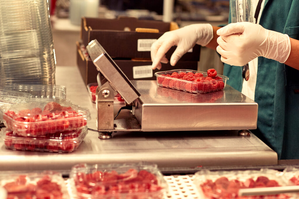 fischer_obsthofstelzer_060918-25