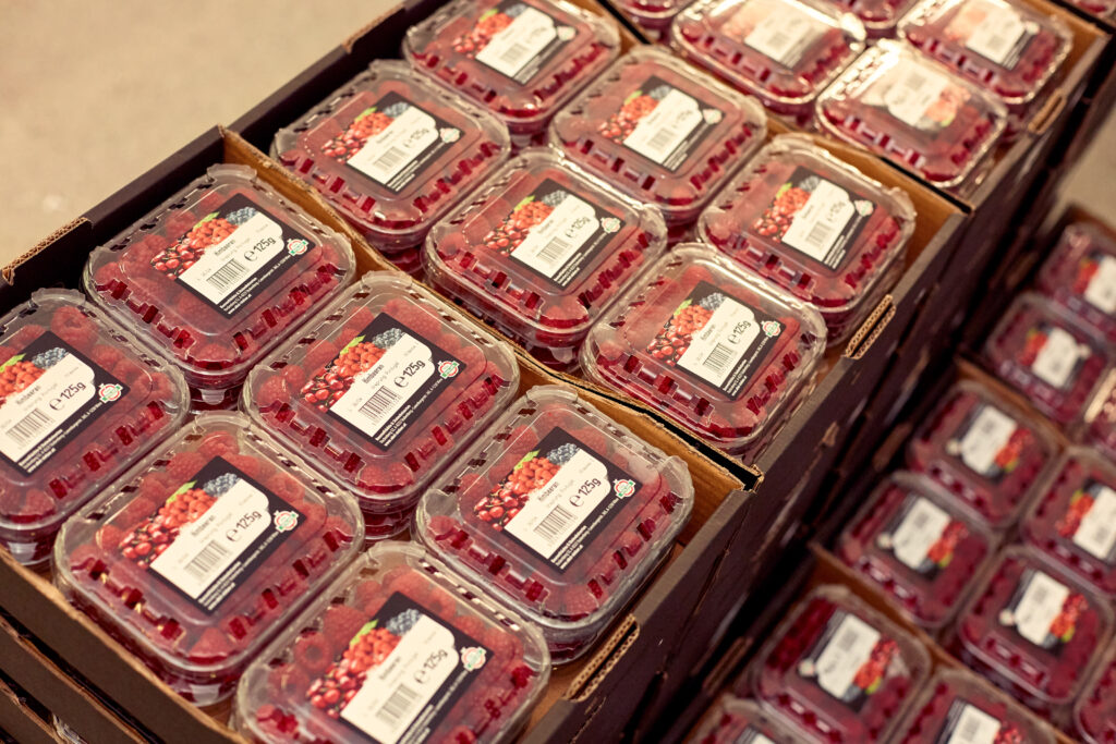 fischer_obsthofstelzer_060918-27