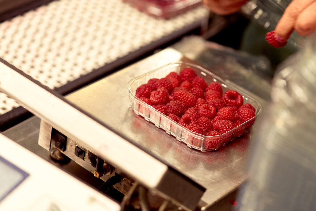 fischer_obsthofstelzer_060918-3