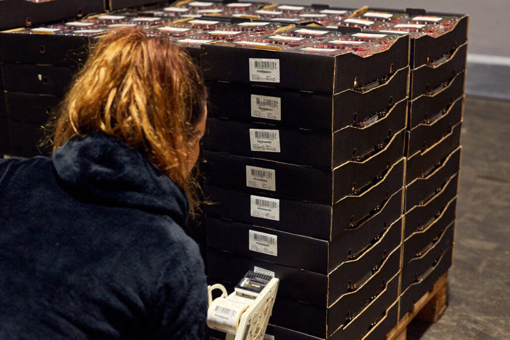 fischer_obsthofstelzer_060918-32