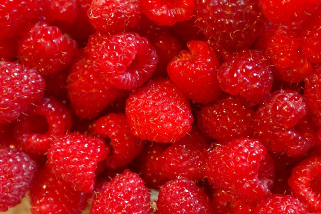 fruits, food, healthy, red fruits, raspberries, fresh, berries,