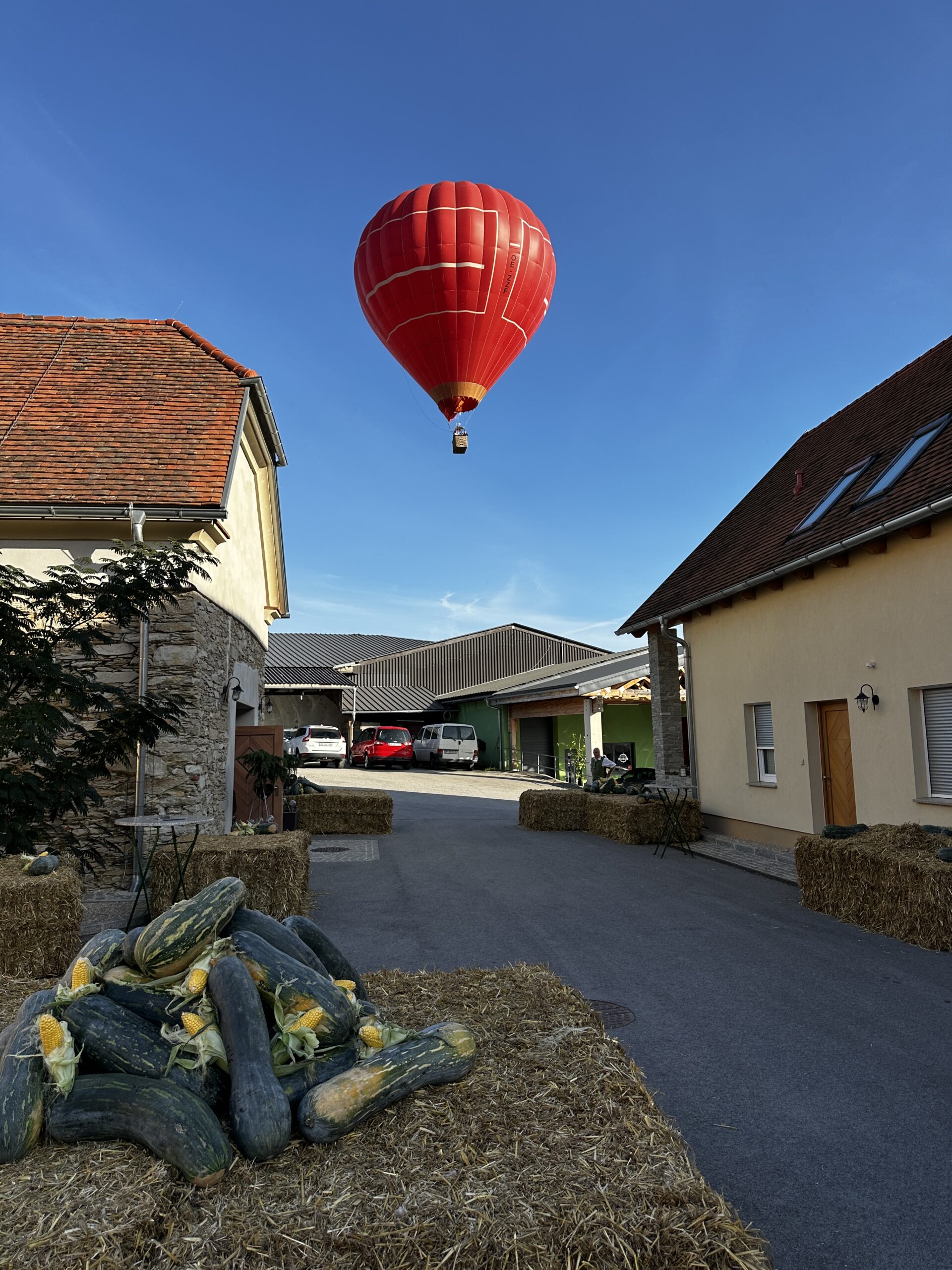 Besucher beim Erntedankfest am Edenhof
