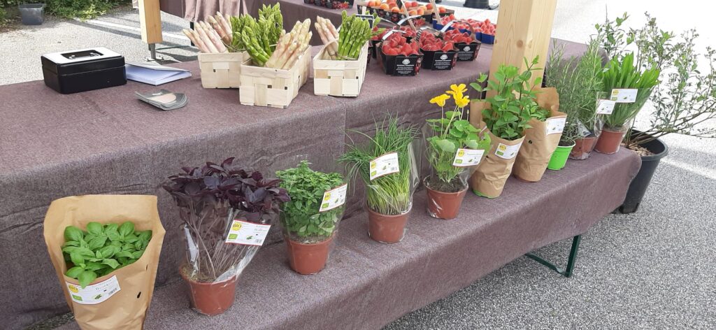 WhatsApp Image 2024-05-23 at 15.38.20